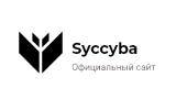 Ремонт электросамокатов Syccyba